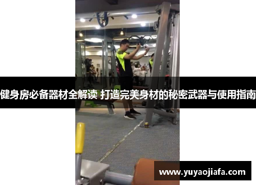 健身房必备器材全解读 打造完美身材的秘密武器与使用指南