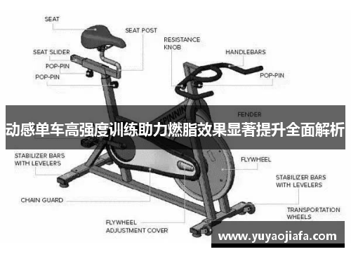动感单车高强度训练助力燃脂效果显著提升全面解析