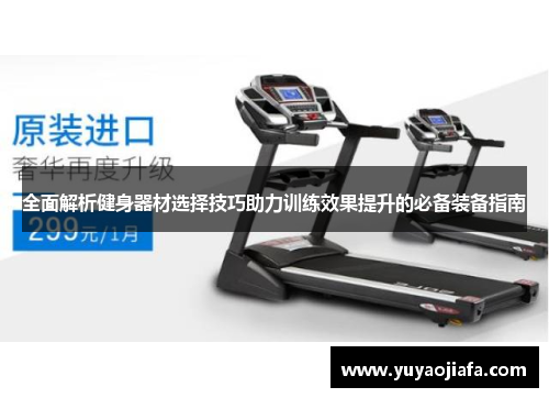 全面解析健身器材选择技巧助力训练效果提升的必备装备指南