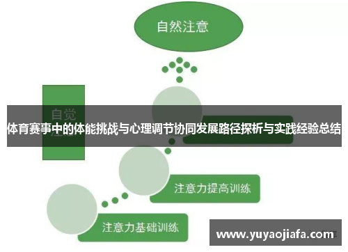 体育赛事中的体能挑战与心理调节协同发展路径探析与实践经验总结