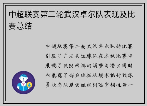 中超联赛第二轮武汉卓尔队表现及比赛总结
